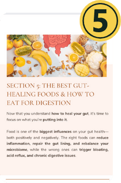The Best Gut-Healing Foods & How To Eat For Digestion