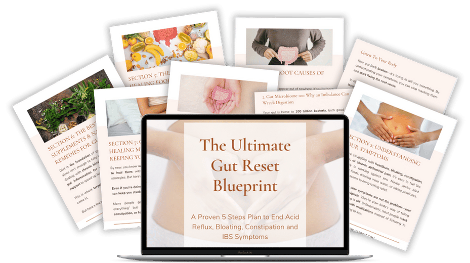 The Ultimate Gut Reset Blueprint Preview